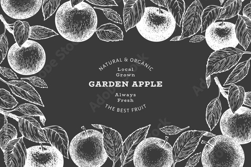 Apple branch design template. Hand drawn vector garden fruit illustration on chalk board. Engraved style fruit retro botanical banner.