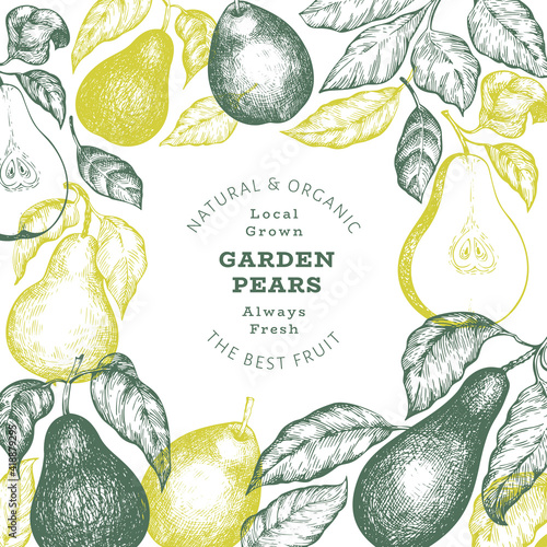 Pear design template. Hand drawn vector garden fruit illustration. Engraved style garden retro botanical banner.