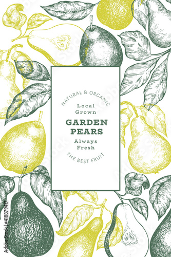 Pear design template. Hand drawn vector garden fruit illustration. Engraved style garden retro botanical banner.