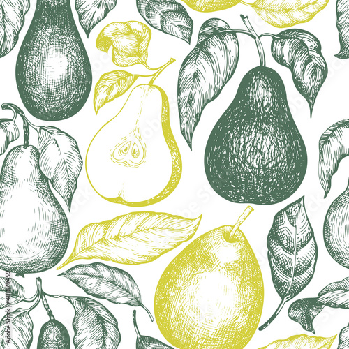 Pear seamless pattern. Hand drawn vector garden fruit illustration. Engraved style garden retro botanical background.