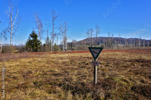 Naturschutzgebiet Pfrunger Ried, Moor in Oberschwaben bei Wilhelmsdorf, Süddeutschland photo