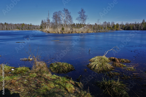 Pfrunger Ried, Moor in Oberschwaben bei Wilhelmsdorf, Süddeutschland photo