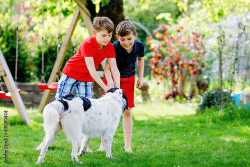 Two kids boys playing with family dog in garden. Laughing children, adorable siblings having fun with dog, with running and playing with ball. Happy family outdoors. Friendship between animal and kids