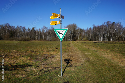 Pfrunger Ried, Moor in Oberschwaben bei Wilhelmsdorf, Süddeutschland photo