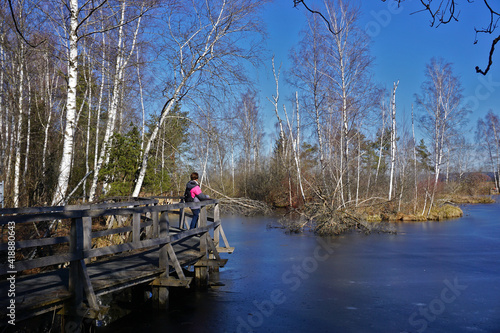 Pfrunger Ried, Moor in Oberschwaben bei Wilhelmsdorf, Süddeutschland photo