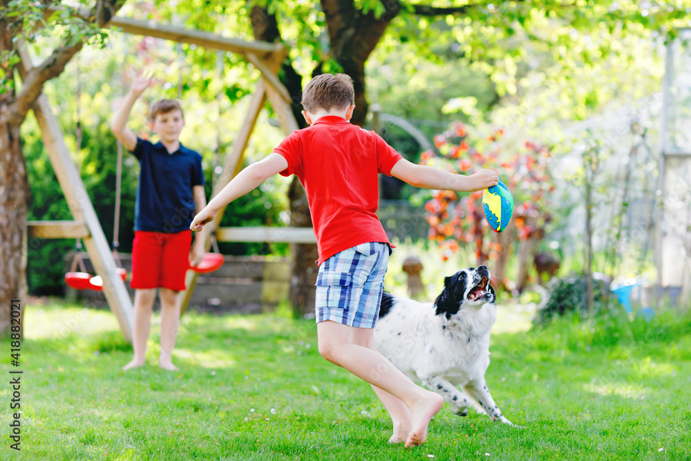 Obraz premium Two kids boys playing with family dog in garden. Laughing children, adorable siblings having fun with dog, with running and playing with ball. Happy family outdoors. Friendship between animal and kids