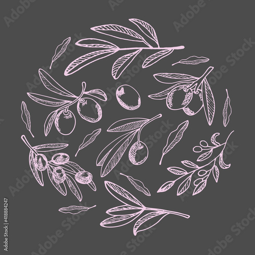 A set of olives arranged in a circle. Illustration for the design of Italian cuisine, packaging for food, cosmetic products with extra virgin oil.