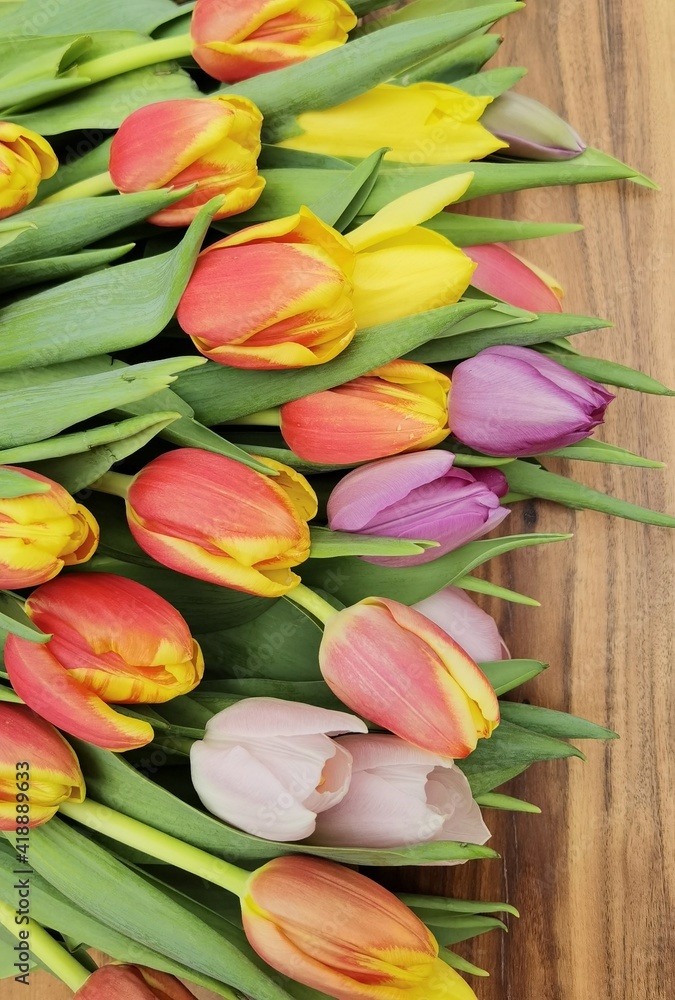 Spring tulips bouquet on wooden background. Spring tulips bouquet on wooden background.