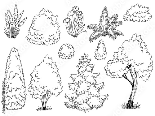 Print op canvas Plant set graphic garden bush black white side view isolated illustration vector