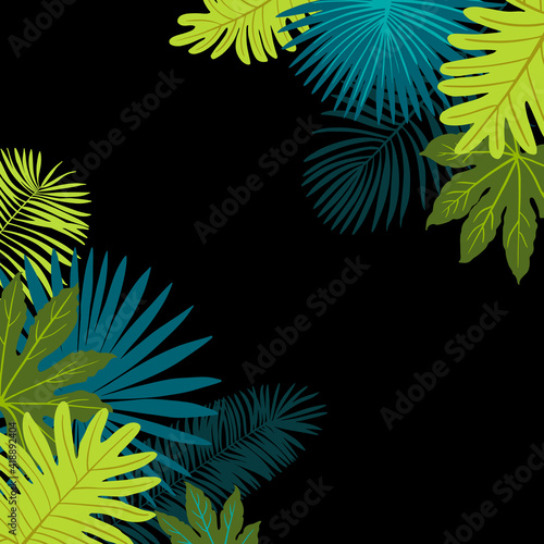 Green tropical leaves of palm trees  monstera  fern and other plants. Vector color sketch on a black background.