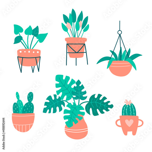 Cute doodle illustration with home potted plants set. Vector artwork. Plants in ceramic pots. Home garden with cactus, palm, succulents. Elments for interior and decoration. For stickers, design