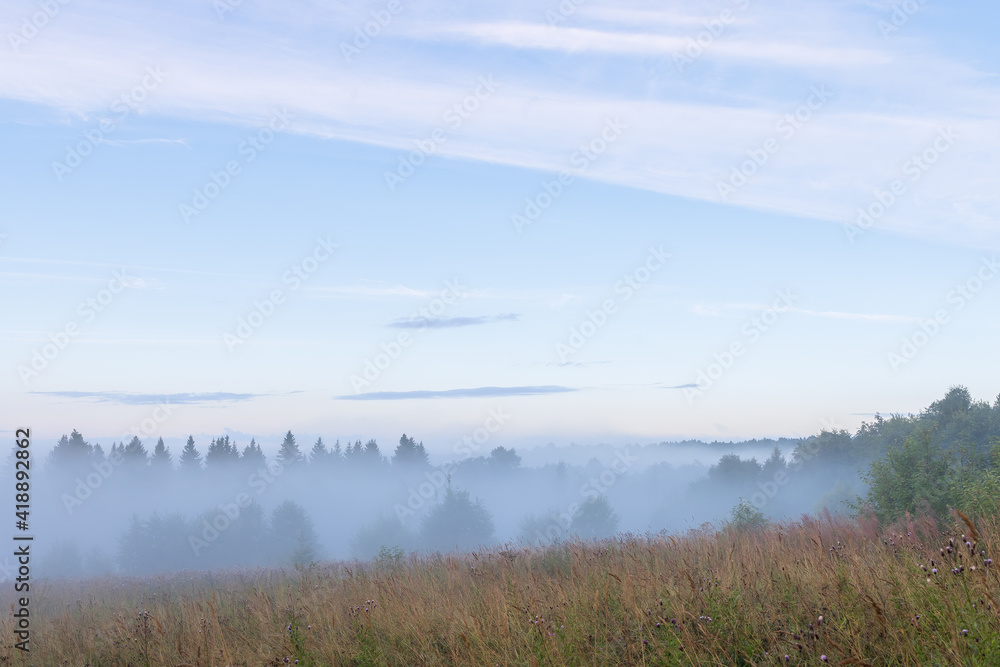 Beautiful morning misty landscape. Clouds of fog rise over the clearing and the forest. Summer nature in the countryside. Natural background.