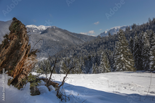 Berge mit Schnee und Bäumen in den Alpen