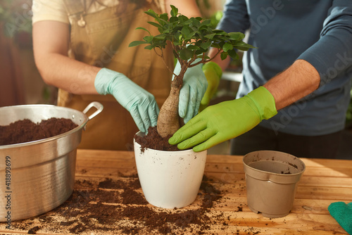 Plant transplanting by man and woman
