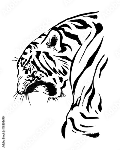 吠えるトラ、モノクロ