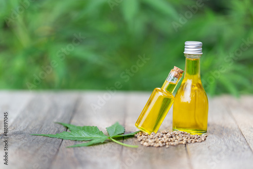 CBD hemp oil in a cup, hemp seeds in a wooden spoon placed on the table. Cannabis concept for medical purposes Cannabis oil extraction components Herbs for the treatment of disease.