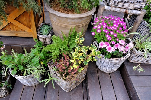 garden decor: assorted flowers in pots