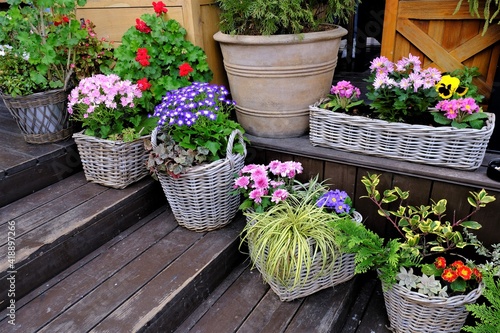 flowers in pots