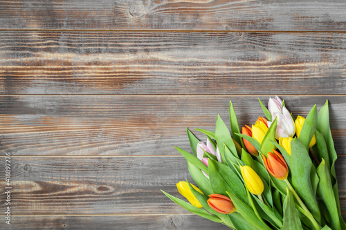 Tulip flowers on a wooden background. Spring flowers composition. Background with copy space. Top view