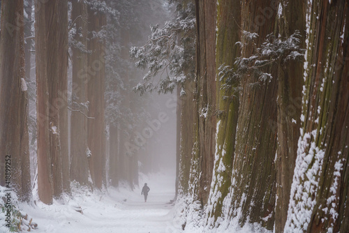 冬の戸隠神社奥社参道