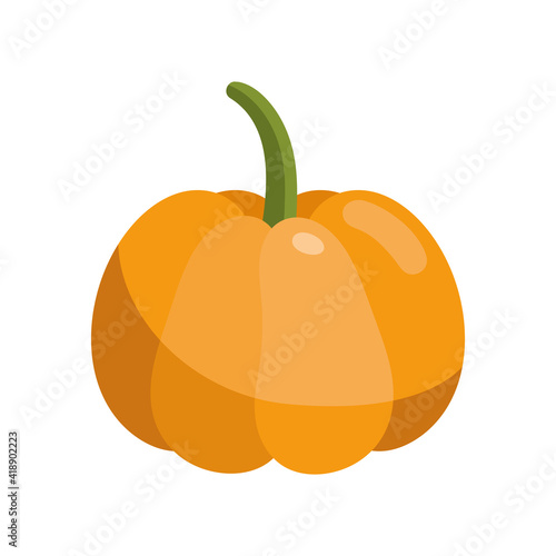pumpkin fresh vegetable