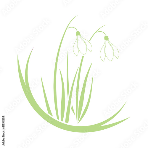 spring snowdrop flower