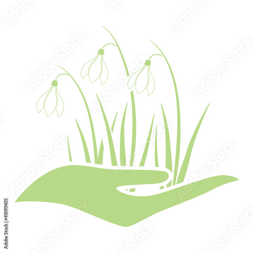 spring snowdrop flower