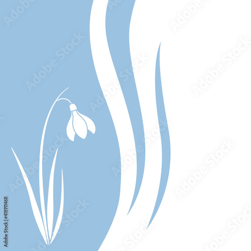 spring snowdrop flower