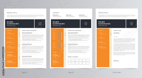 Clean and Professional Resume/CV Template 