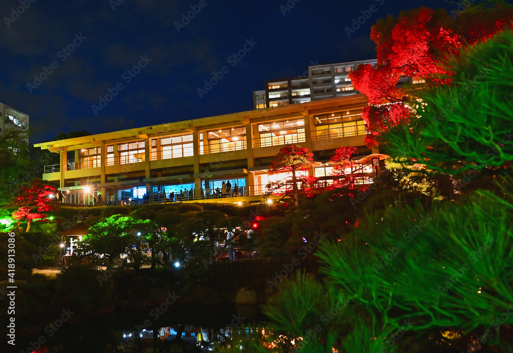 相楽園　日本庭園内のライトアップ　夜景