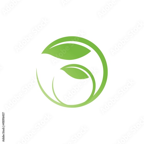 Wallpaper Mural Logos of green Tree leaf ecology Torontodigital.ca