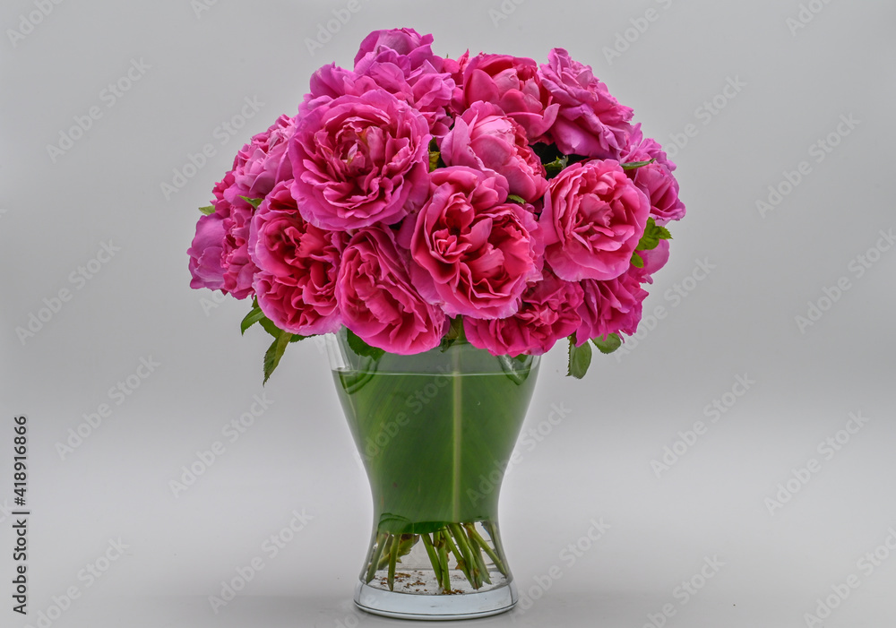 Obraz premium ROSE FLOWER BOUQUET, BEAUTIFUL ROSE FLOWER BOUQUET, GARDEN FRESH FLOWER BOUQUET