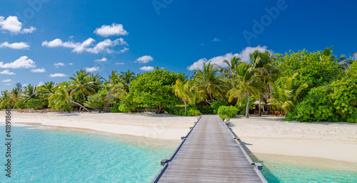 Summer vacation on a tropical island with beautiful beach and palm trees  pier jetty into paradise landscape. Stunning summer scenery  idyllic relaxing view. Travel holiday exotic nature destination
