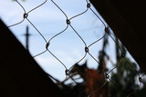 A chain-link metal fencing