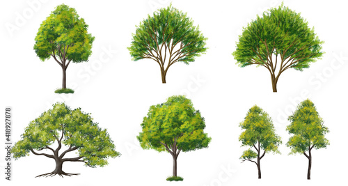 Collection of abstract watercolor green tree side view isolated on white background  for landscape plan and architecture layout drawing  elements for environment and garden  green grass illustration 