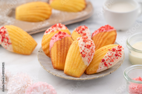 Bilde på lerret Delicious homemade chocolate dipped madeleine on white table background