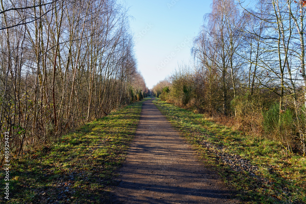 Fototapeta premium Low winter sun casts long shadows over a long footpath