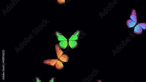 beautiful spring and summer design animation with butterflies on transparent background with ALPHA CHANNEL. Looped animated stock footage. Colorful butterflies flying up 2d style photo