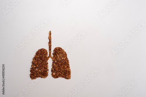 Принти на полотні No Smoking Concept for World No Tobacco Day Featuring Lungs Shaped from Cigarettes and Tobacco on White Background Representing Health Risks and Awareness