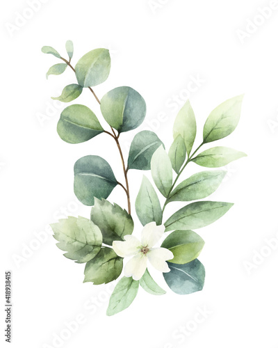 Watercolor vector hand painted bouquet with green eucalyptus leaves and flowers.