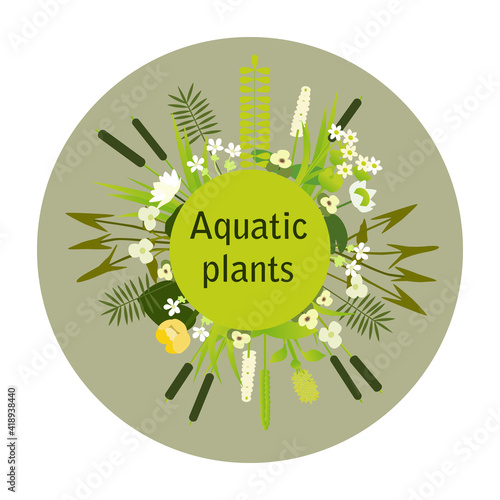 Water flowers and plants on a round background