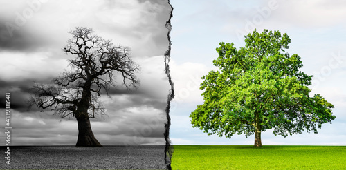 Klimaveränderung von Karger Landschaft zu Grünem Wachstum