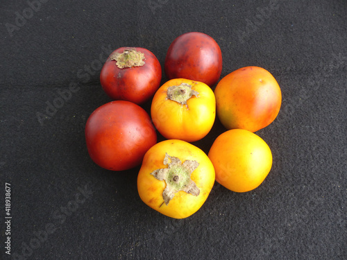 Yellow and red Solanum sessiliflorum fruits or Cocona is a tropical shrub belonging to the Solanaceae family. Amazon, Brazil photo