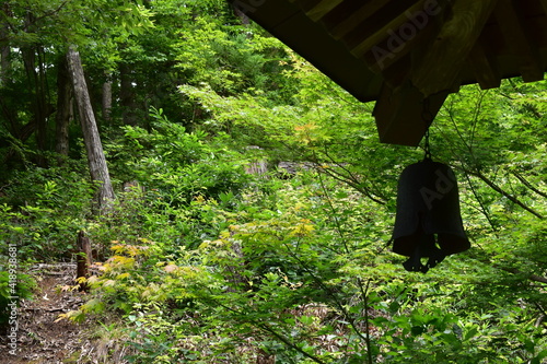 緑が栄えている森と鐘の影