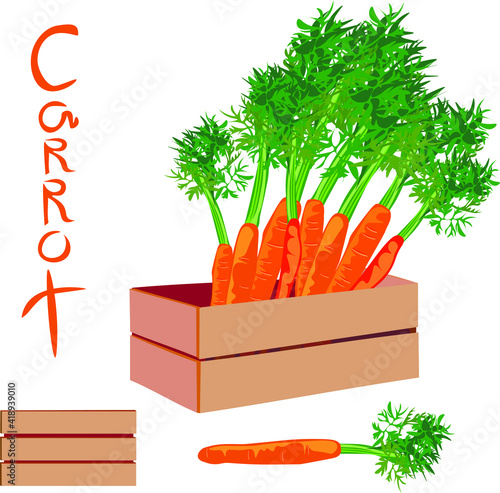 art, autumn, autumn harvest, botany, carotene, carrot, carrot box, carrot vector, carry, cartoon, cooking, decorative, delicious, design, diet, drawing, flat, food, fresh, harvest, healthy, illustrati
