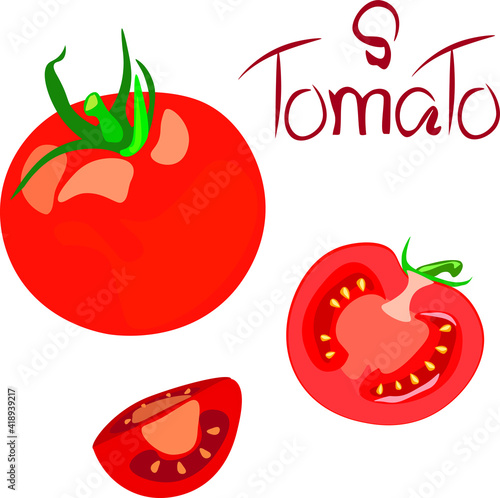 Set vector illustration of tomatoes - a whole ripe red fruit, a half, a slice and an inscription. Realistic art, food patterns design element for kitchen, cafe, pizzeria, menu decoration