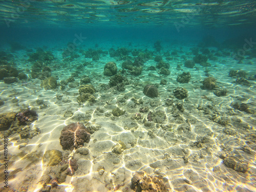 Fond marin, lagon de Taha'a, Polynésie française