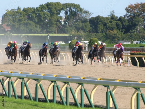 競馬　東京競馬場