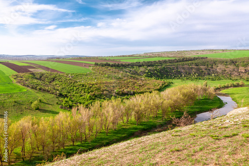 Majestic nature with river valley and agricultural fields . Aerial view of treetops on the riverside