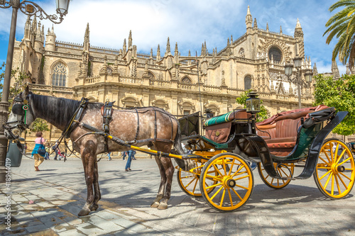 Seville, Andalusia, Spain - April 18, 2016: typical old carriage drawn by a white horse stopped in front of Cathedral of Seville.
